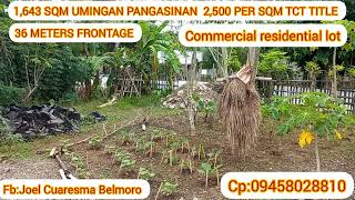 VLOG36 RESIDENTIAL COMMERCIAL LOT 1643 SQM 36METERS FRONTAGE 2500 PER SQM TCT TITLE [upl. by Giulia]