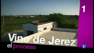 La elaboracion del vino de Jerez [upl. by Jacintha435]