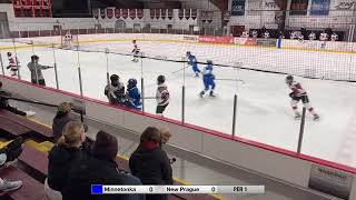 Minnetonka BA vs New Prague  November 14 2024 [upl. by Liagabba]