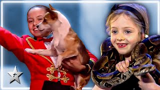 Adorable Animal Auditions from Around the World  Kids Got Talent [upl. by Aihsekan]