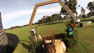 Wild Oats winning cross country round at 2013 Werribee Horse Trials 3 [upl. by Zingale186]