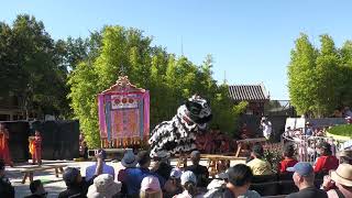 HH – The Awakening – Lion Dance  Bendigo Easter Festival 2024 [upl. by Eatnoj]