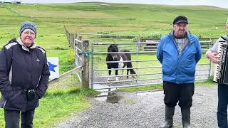 Frank Morrison having a tune at Carol’s Ponies in Shetland [upl. by Bittner]