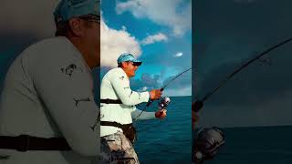 Jigging Maldives zenaq ikari kingstonfishing monsterfish bigfish fishing [upl. by Nwaf536]