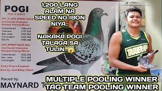 1200 LANG LAGE ALAM NA SPEED NG IBON NIYA😱  MULTIPLE POOLING WINNERTAG TEAM POOLING WINNER🏆 [upl. by Artep]