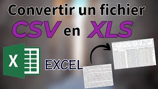 Convertir un fichier CSV en XLS avec Excel [upl. by Ednutey]