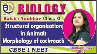 STRUCTURAL ORGANISATION IN ANIMALSMORPHOLOGY OF COCKROACH CLASS XI BIOLOGY NEET 2025 ANUBHAV [upl. by Ahsele]