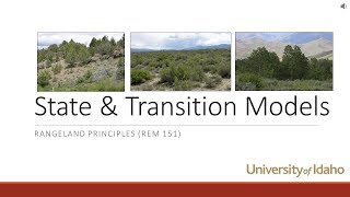 State and Transition Models [upl. by Julietta]