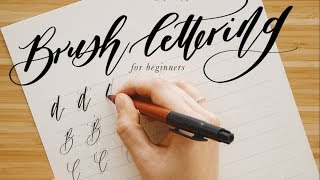 How to Calligraphy amp Brush Lettering Guide for Beginners  Free Calligraphy Practice Sheets [upl. by Ahsinyar968]