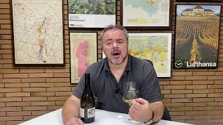 Wine Review Thomas Pico Domaine Pattes Loup Chablis Premier Butteaux 2019 [upl. by Yeoj]