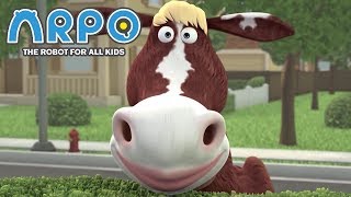 ARPO The Robot For All Kids  Crazy Cow Trouble   Videos For Kids [upl. by Bausch]