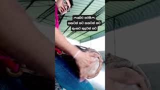 බෙර සරඔ GATABERAWADANAYA bera gatabera srilankandance gataberalesson ගැටබෙරවාදනය [upl. by Joelie]