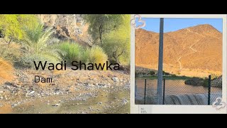 Wadi Shawka Dam [upl. by Rosen]