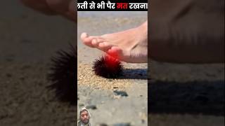 Beach lovers should have to know this😱😳 amazingfacts factsinhindi shortvideo Misskarishafacts [upl. by Tiffy855]