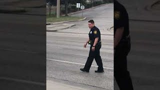 Cop Helps Deliver Ducks Safely Across the Street  ViralHog [upl. by Sokem]