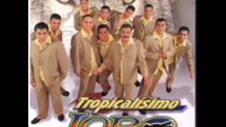 tropicalisimo lobo la mil y una noches [upl. by Pomeroy]