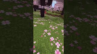 Vídeo mainicrevete🥰 [upl. by Ninnahc514]