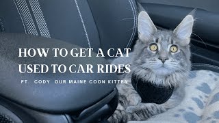 How To Get a Cat Used To Car Rides [upl. by Lowe125]