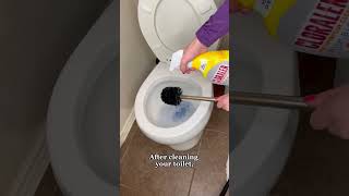 Toilet Cleaning Tips For A Cleaner Fresher Toilet [upl. by Nannarb228]