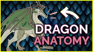 🔴 How to Draw DRAGONS [upl. by Santini]