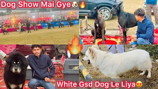 Dog Show M White Gsd Dog Pasand Aagya😍 All Breeds K Dogs Or Puppes Mila🐶DOG SHOW🔥 [upl. by Hunsinger118]