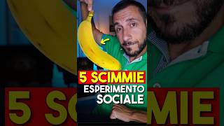 5 SCIMMIE Come si Creano i Problemi di Mentalità del 90 della Gente [upl. by Puff]