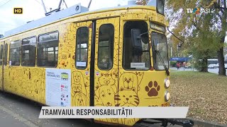 Tramvaiul Responsabilității  Reportaj TVR Iași 10112024 [upl. by Euqinehs]