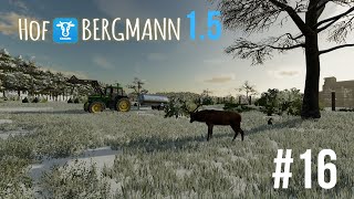 Hof Bergmann 15  Hirsche  Let´sPlay 16 ls22 farming hofbergmann fs22 [upl. by Atsyrt]