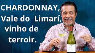 CHARDONNAY DO LIMARÍ A JOIA ESCONDIDA DO CHILE [upl. by Lavinie964]