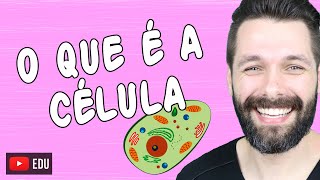 O QUE É A CÉLULA  Biologia com Samuel Cunha [upl. by Annabella]