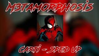 Playboi Carti  M3tamorphosis Sped Up Guitar Remix [upl. by Analem791]