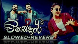 Visekari විසෙකාරි Teledrama Thema song slowedreverb  ITN [upl. by Rae]