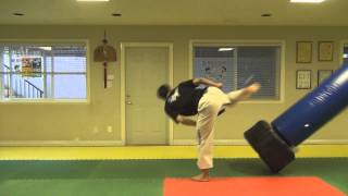 Back kick variations knock down on 270 lbs heavy bag [upl. by Haela835]