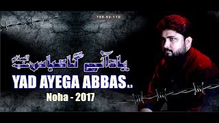 Nohay 2017  YAD AYEGA ABBAS ع  SYED RAZA ABBAS ZAIDI  Nohay 201718 [upl. by Hartzell]