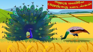 அழகு மயிலே குழந்தை பாடல்கள்  Peacock Tamil rhymes for children  baby songs Tamil  Tamil rhymes [upl. by Anerat]