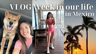 A Week in our Dream Life in Mexico with my DOG 🌴 Wellness Routine [upl. by Tomkiel]