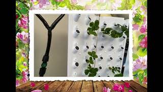 Hydroponic Planter [upl. by Stephana]