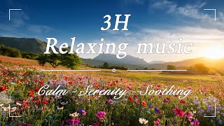 💦3H Relaxation musique Calme☯️ Sérénité et Bienêtre avec WindRelaxation [upl. by Obadiah]