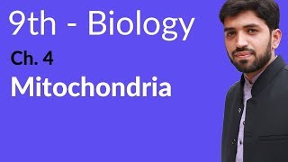 Matric part 1 Biology Mitochondria Biology  Biology Chapter 4 Cell biology  9th Class [upl. by Kinna]