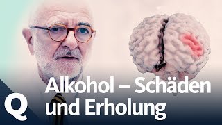 Wie gut kann sich der Körper vom Alkohol erholen  Quarks [upl. by Ternan]