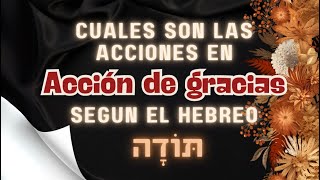 Día de Acción de Gracias y su Significado en Hebreo  תּוֹדָה  Todá  Gratitud en Acción [upl. by Latsyc]