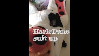 Fursuit Suit up of the Dane [upl. by Nerita953]