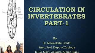 Circulation in Invertebrates Part 1 [upl. by Erastatus427]