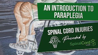 Paraplegic Definition Explained Causes Recovery Prognosis  Paraplegia  Spinal Cord Injury [upl. by Yllime]