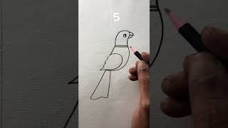 Simple and amazing birds drawing with numbers 5 [upl. by Thierry]