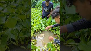 Estak amp Saif Hook Fishing Challenge Video😂fishvideofunnyvideoshorts [upl. by Damon110]