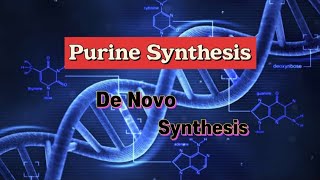 Purine Synthesis  De Novo Synthesis nucleotides dna purines [upl. by Collete]