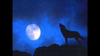 Wolf howling at night sound effect [upl. by Glori]