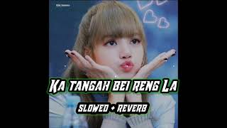 Bawihte ka tangah bei reng la slowedreverb full song hla mawi lutuk 😍🥰 [upl. by Charmian]