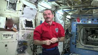 How Space Travel Affects Eyesight  CSA Science HD Video [upl. by Patrich851]